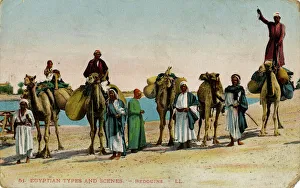 Bedouins and camels in the desert, Egypt Bedouins and camels in the desert, Egypt