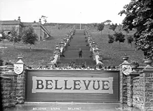 Written Gallery: Bellevue Steps, Belfast