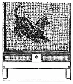 Warning Gallery: Beware of the dog mosaic