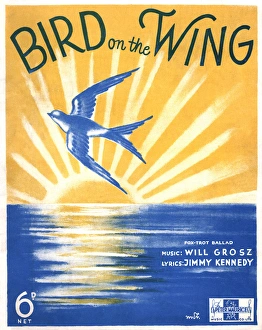 Bird on the Wing - Music Sheet Cover Bird on the Wing - Music Sheet Cover