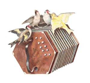 Birds on a concertina-shaped Christmas card Birds on a concertina-shaped Christmas card