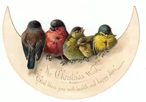 Yellow Perch Gallery: Birds perched on crescent moon on a Christmas card