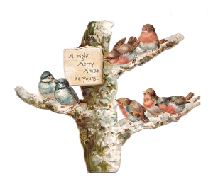 Birds perched in a tree on a cutout Christmas card Birds perched in a tree on a cutout Christmas card