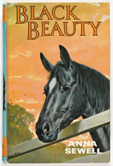 Roger Gallery: Black Beauty 1967