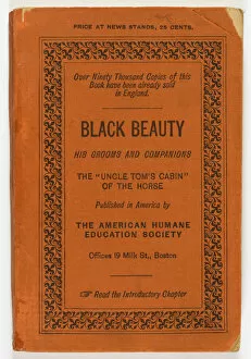 Equine Collection: Black Beauty US 1st Ed