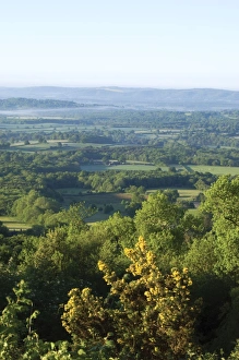 Blackdown Gallery: Blackdown / Black Down hill - 280 m / 919 feet