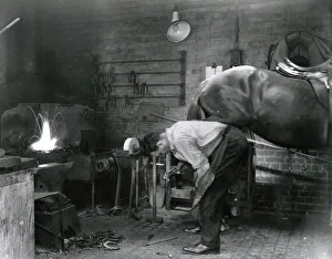 Blacksmith shoeing a Metropolitan Police horse Blacksmith shoeing a Metropolitan Police horse