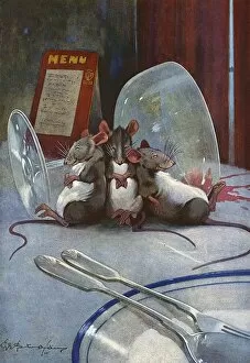 Three Blind Mice by George Studdy