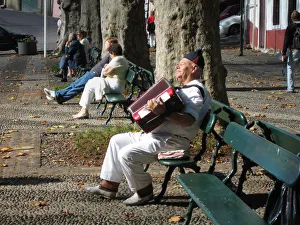 A blissful accordion player on a park bench in Maderia A blissful accordion player on a park bench in Maderia