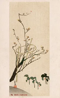 Blossom Tree with bamboo supports by Ogata Korin Blossom Tree with bamboo supports by Ogata Korin