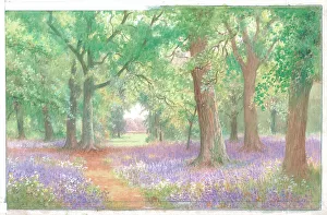 Bluebells Gallery: Bluebells, Kew Gardens