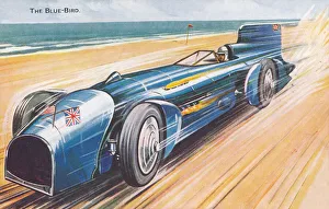 Gas Turbine Gallery: Bluebird