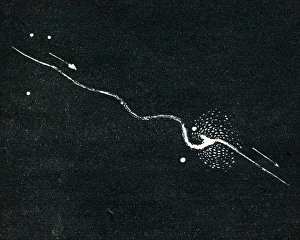 Bolide meteorite with lance-like antenna Bolide meteorite with lance-like antenna
