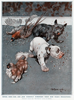 Bonzo, Chee-Kee and Jock by George Studdy Bonzo, Chee-Kee and Jock by George Studdy