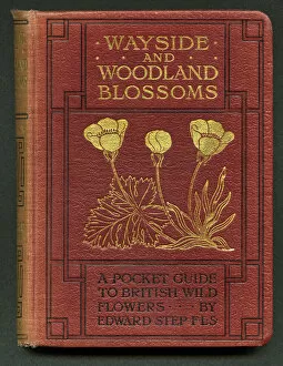 Geometric Gallery: Book cover, Wayside and Woodland Blossoms