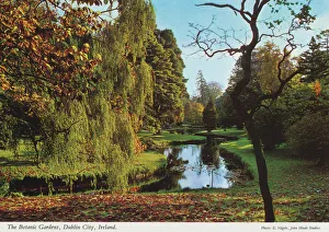 The Botanic Gardens, Dublin City, Republic of Ireland The Botanic Gardens, Dublin City, Republic of Ireland