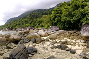 Boulders on sand beach and rainforest on slopes Boulders on sand beach and rainforest on slopes