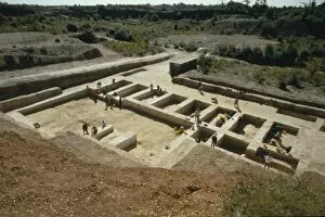 Haplorhini Gallery: Boxgrove excavation site