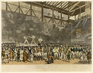 Related Images Gallery: Boxing / Randall V Turner