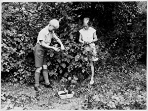 <b class=qtipBold><figcaption>Boy/Girl Pick Fruit 1950</figcaption></b><br>A boy and a girl pick blackberries and place them in a plastic trug<br><em>© Mary Evans Picture Library</em> Boy/Girl Pick Fruit 1950