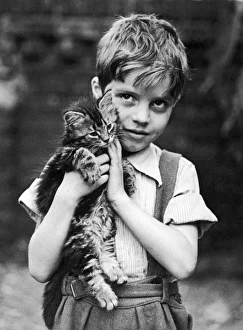 <b class=qtipBold><figcaption>Boy Holding a Kitten</figcaption></b><br>A boy in a striped shirt and trousers with braces holds a fluffy tabby kitten<br><em>© Mary Evans Picture Library</em> Boy Holding a Kitten