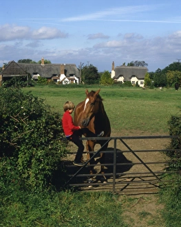 Boy and horse, Great Comberton, Worcestershire Boy and horse, Great Comberton, Worcestershire