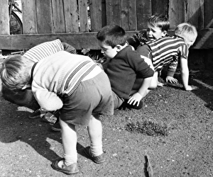 Five boys on a Balham street, SW London Five boys on a Balham street, SW London
