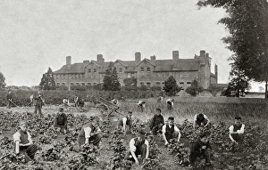 Essex Gallery: Chelmsford Collection