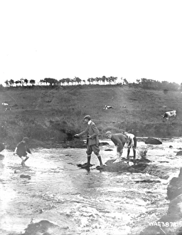 Boys playing in the shallows of the River Bush Boys playing in the shallows of the River Bush