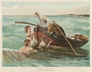 <b class=qtipBold><figcaption>Boys Swim with Dogs</figcaption></b><br>Two youths swim from a boat, but only one of their three dog companions is brave enough to join them in the water !<br><em>© Mary Evans Picture Library</em> Boys Swim with Dogs
