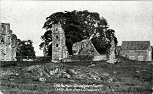 Bradgate Park, Newtown Linford, Leicestershire ? Bradgate Park, Newtown Linford, Leicestershire ?