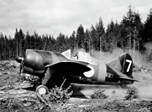 Prints of Brewster F2A Buffalo -unlike other Buffalo users, the Finnish enjoyed con (side view)rable success against their Soviet invaders Finland Prints: Finnish Brewster F2A Buffalo Print: Rare Soviet Victory