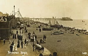 Brighton & Hove Collection: Brighton / Beach 1905