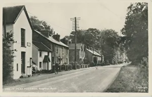 Sussex Gallery: 