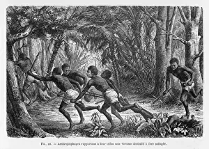 Print of Polynesians Bringing Home the Supper, 1905