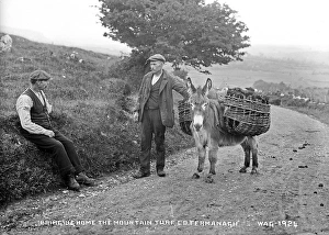 Bringing Home the Mountain Turf, Co. Fermanagh Bringing Home the Mountain Turf, Co. Fermanagh