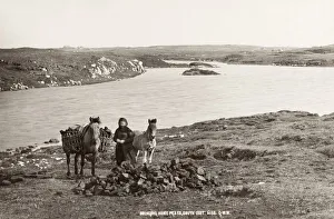 Bringing home peat with a pony, Scotland Bringing home peat with a pony, Scotland