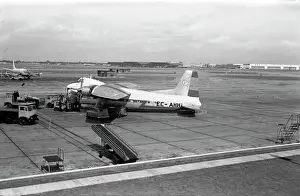Prints of Bristol Freighter EC-AHH of Spanish national carrier Iberia on the tarmac at London Airport Date: 1965 Heathrow Airport Prints: Bristol 170 Freighter EC-AHH Print London Airport 1965