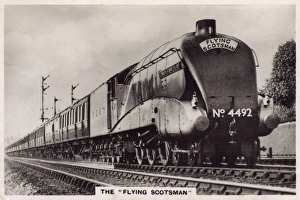 British Railways - The Flying Scotsman - Bittern Class British Railways - The Flying Scotsman - Bittern Class