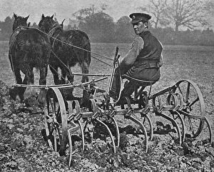 British soldier working on the land, WW1 British soldier working on the land, WW1