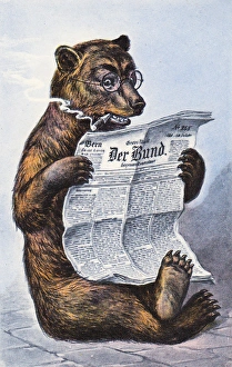 Brown bear reading newspaper on a German postcard Brown bear reading newspaper on a German postcard