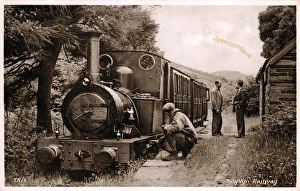 Cardiganshire Gallery: Brynglas Station, Bryncrug, Cardiganshire
