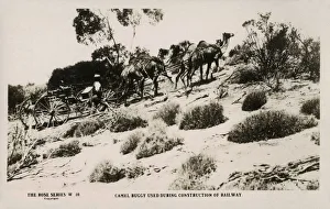 Building the Trans-Australian Railway - using a Camel Buggy Building the Trans-Australian Railway - using a Camel Buggy