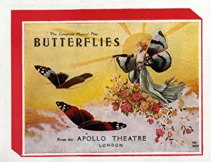 Butterflies, musical play from the Apollo Theatre, London Butterflies, musical play from the Apollo Theatre, London