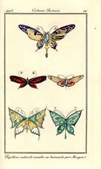 Ballets Collection: Butterfly brooches mounted in diamonds designed by Morgan