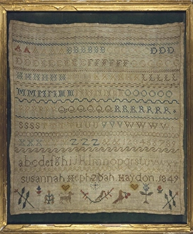 Haydon Gallery: C19 Sampler