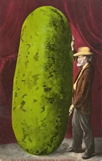 Oversize Gallery: Californian farmer with an immense watermelon