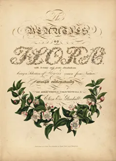 Calligraphic title page with vignette Calligraphic title page with vignette