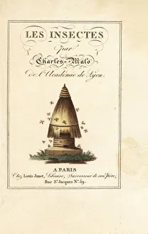 Calligraphic title and vignette of beehive with bees Calligraphic title and vignette of beehive with bees