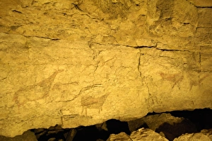 Cantabria. Camargo. Cave of El Pendo Cantabria. Camargo. Cave of El Pendo
